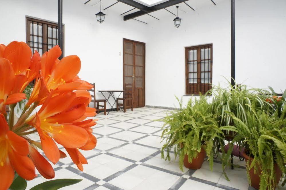 Fuentepiedra Casa Rural Categoria Superior Almodóvar del Río Zewnętrze zdjęcie